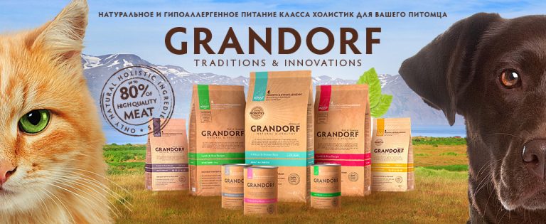 Grandorf (Грандорф)